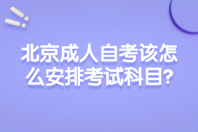 北京成人自考該怎么安排考試科目?